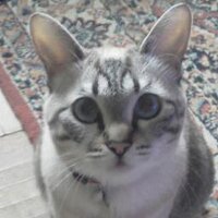 ホビーショップB-FIELD (@b_field_m) 's Twitter Profile