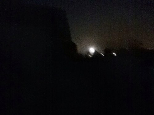 dedecimo's profile picture. nowhere man