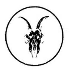 AllSaints Japan (@AllSaintsJapan) | Twitter