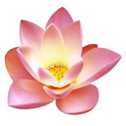 A peaceful urban sanctuary providing well being for mind, body and spirit with #yoga, #meditation, #relaxation, #yoga&creativity #retreats.