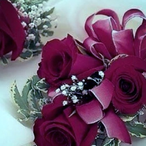 kuwaitaih's profile picture. يا صاحب الزمان أدركنا