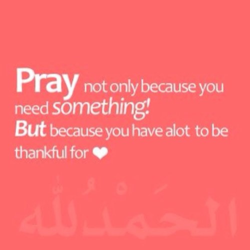 QumSami's profile picture. 