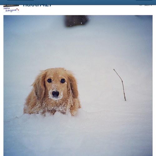 vliux's profile picture. 