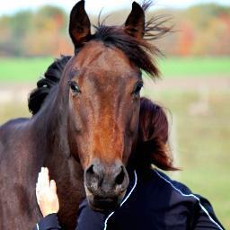 webscapescanada's profile picture. 