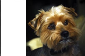 Turned on, Tuned in, Stand Up, Speak Up, Humble Servant, Life Advocate, Picture Taker, People Appreciator, Rapacious Reader, Active Citizen, Defender of Life.
