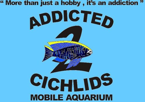 African Cichlid suppliers, we stock food, chemicals, tanks and accessories. Keep a eye out for our tweetspecials