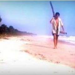 ile_edrooseo's profile picture. Edrooseo île secrète, découverte il y a un an. Elle fait l'objet de recherches scientifiques liées à son incroyable biodiversité. http://t.co/GvQjxlmw