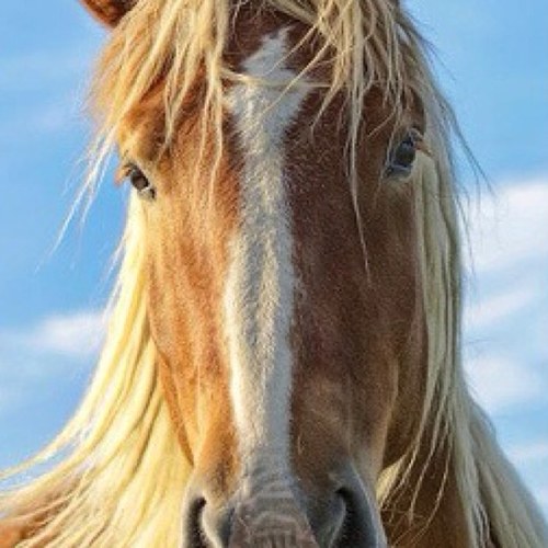 lsvb6v7w's profile picture. 当たる当たらないで判断していた占いですが、見方を変えれば、けっこう楽しめるかなって、思うようになりました。占いに関することをつぶやくことが多いと思いますが、気になることをいろいろつぶやいてみます。よろしくお願いします＾＾