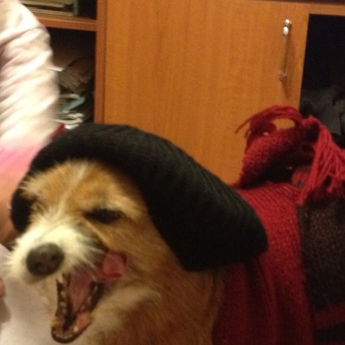 DenisZijabeg's profile picture. 