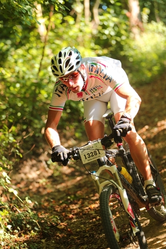 twitiedennis's profile picture. 