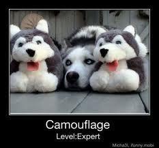 douglasd1986's profile picture. 