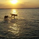 Jodi McGill - @JodiMcGill2 - Twitter