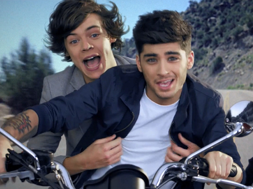 Boydirectioner