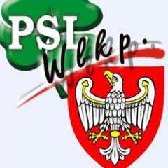 PSLWielkopolska's profile picture. 