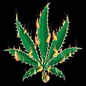#Teamstoner #420 #legalize #maryjane #Amsterdam