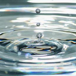 cloop2's profile picture. #Teamfollowback #cloopi #Followme #iwillfollowyou