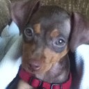 Amy Barta - @mamabarta - Twitter