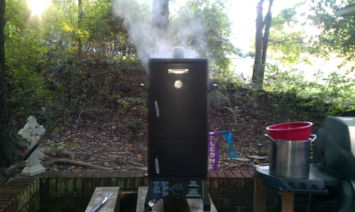 MattRatM's profile picture. 