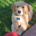 Chris Mathie - @Dogandafrog - Twitter