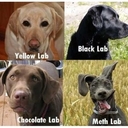 Bruce Cornish - @BruceCornish - Twitter