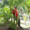 james oddo - @jamoddo - Twitter