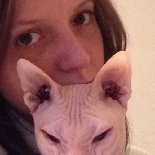 bes2702's profile picture. 