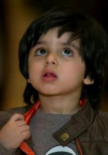 walied2050's profile picture. 