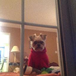 JohnAll13351563's profile picture. 