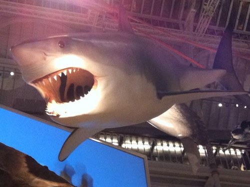 Scott431's profile picture. 