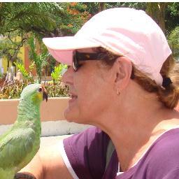 carolboudreaux Profile Picture