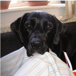 TomLadds2's profile picture. Firefighter with Cheshire Fire & Rescue Service