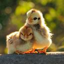 Theodore Kittelson - @KittelTheodore - Twitter