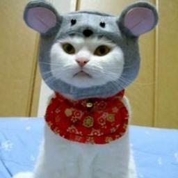 こんにちは。
普段はしがない社会人をしてますが、懸賞が大好物でよく懸賞応募でつぶやいてます。昔の当選報告はタグつけてなかったですが、#ソニック当選報告 をつけるようにします！
あと、個人的にはアニメとかミスチルとか好きです。ぜひ仲良くしてください。