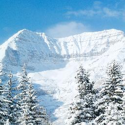 cho_business's profile picture. 