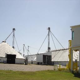 sorgo11's profile picture. 