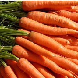 Carrot is one of the most famous vegetable in the world.