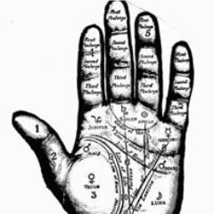 ReadingPalm's profile picture. Palm Reading Teaching Center