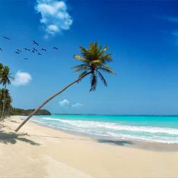 DreamTravel_UK's profile picture. The Dream Travel Group - Disneyland Paris, Disney Cruise, World Cruises, Far-East, U.S.A, Luxury, Skiing, call us now for latest special offers and discounts!