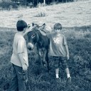 Libby Campbell - @georgeandlibbie - Twitter