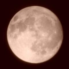 mail4marty's profile picture. Interested in astronomy, weather and science. A ghost sceptic, proud Grandad, Dad and husband. Also love cats and happy to live in the lake district