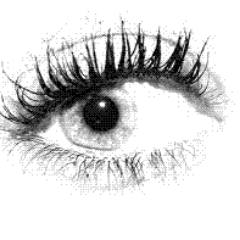 vbestwick's profile picture. En tiempos de injusticia es peligroso tener la razón.....