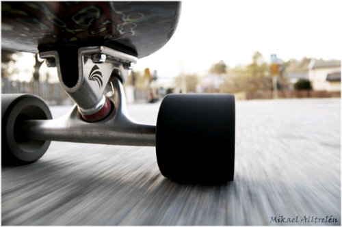 Longboarding97's profile picture. 