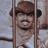 bhaskarns's profile image