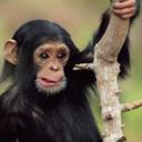 Teja Thota - @teja16885478 - Twitter