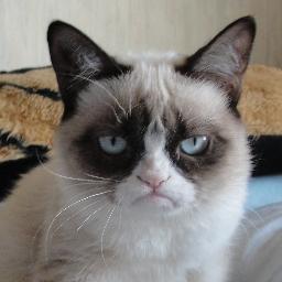 grumpyrecruiter Profile Picture