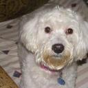 Lowell Bean - @lowell170 - Twitter