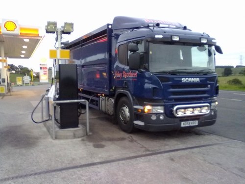 dec_foley's profile picture. 