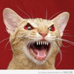 unnecessary11's profile picture. bi çeşit o biçim