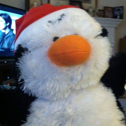 PedsFreak0817's profile picture. 