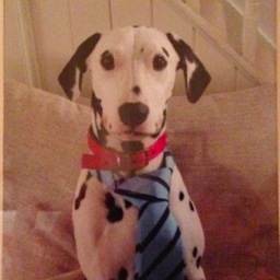 AJCReeves's profile picture. 